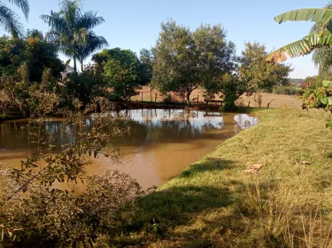 Comprar Rural / Chácara em Américo de Campos R$ 1.260.000,00 - Foto 6