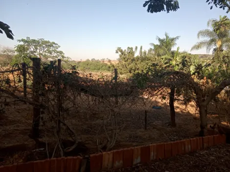 Comprar Rural / Chácara em Américo de Campos R$ 1.260.000,00 - Foto 7