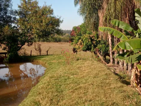 Comprar Rural / Chácara em Américo de Campos R$ 1.260.000,00 - Foto 11