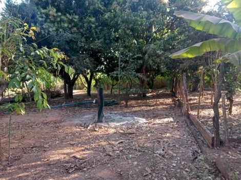 Comprar Rural / Chácara em Américo de Campos R$ 1.260.000,00 - Foto 10