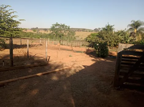 Comprar Rural / Chácara em Américo de Campos R$ 1.260.000,00 - Foto 13