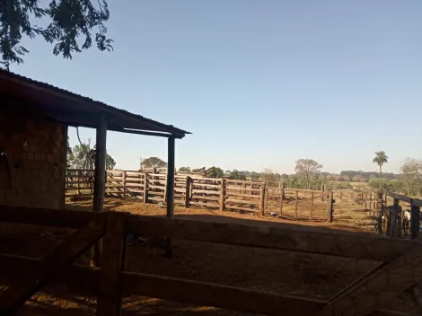 Comprar Rural / Chácara em Américo de Campos R$ 1.260.000,00 - Foto 16