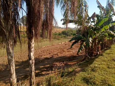 Comprar Rural / Chácara em Américo de Campos R$ 1.260.000,00 - Foto 17