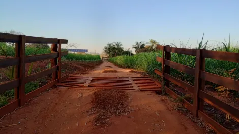 Comprar Rural / Chácara em Américo de Campos R$ 1.260.000,00 - Foto 19