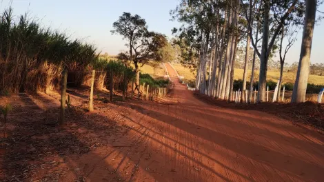 Comprar Rural / Chácara em Américo de Campos R$ 1.260.000,00 - Foto 23