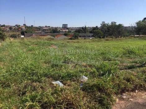 Comprar Terreno / Padrão em Bady Bassitt apenas R$ 108.000,00 - Foto 1