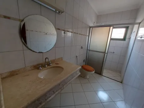 Alugar Casa / Padrão em São José do Rio Preto R$ 3.500,00 - Foto 12