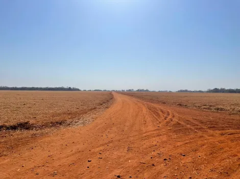 Comprar Rural / Fazenda em Frutal apenas R$ 17.000.000,00 - Foto 4