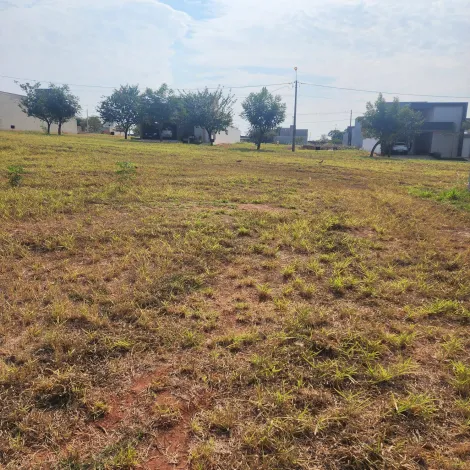 Comprar Terreno / Condomínio em Ipiguá R$ 115.000,00 - Foto 6