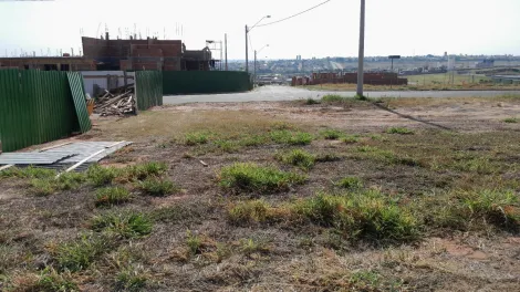 Comprar Terreno / Condomínio em São José do Rio Preto R$ 340.000,00 - Foto 6