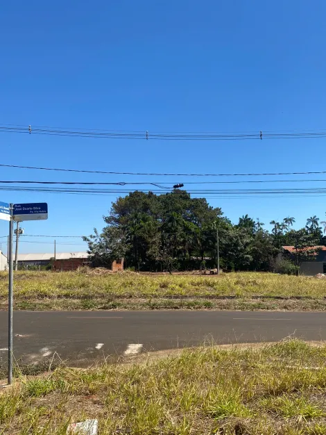 Comprar Terreno / Padrão em São José do Rio Preto R$ 100.000,00 - Foto 3