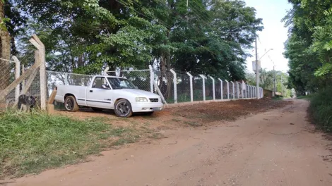 Comprar Rural / Chácara em São José do Rio Preto apenas R$ 650.000,00 - Foto 7