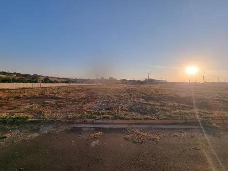 Terreno / Padrão em São José do Rio Preto 