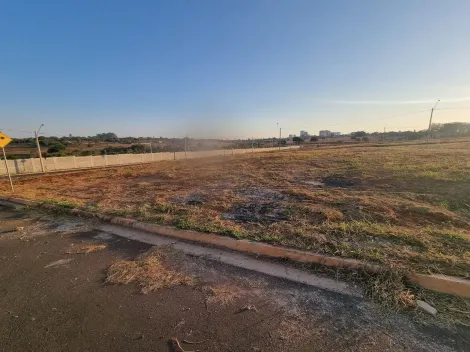 Comprar Terreno / Padrão em São José do Rio Preto apenas R$ 265.000,00 - Foto 2