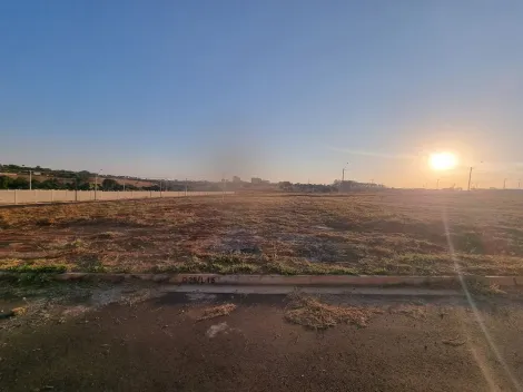 Comprar Terreno / Padrão em São José do Rio Preto R$ 265.000,00 - Foto 3