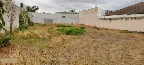 Terreno / Padrão em São José do Rio Preto 