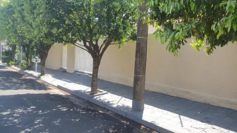 Alugar Casa / Padrão em São José do Rio Preto. apenas R$ 2.200,00