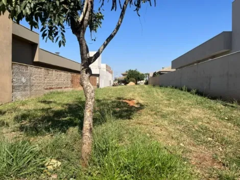 Comprar Terreno / Condomínio em Bady Bassitt R$ 280.000,00 - Foto 2