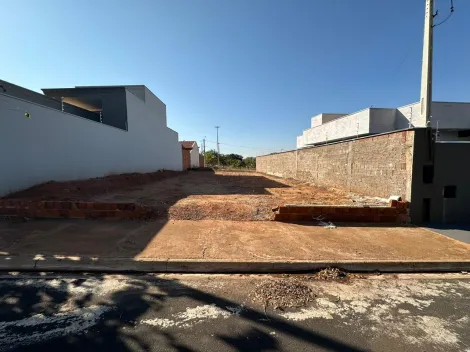 Terreno / Padrão em Mirassol 