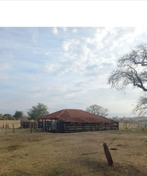 Comprar Rural / Sítio em Nhandeara R$ 10.000.000,00 - Foto 3