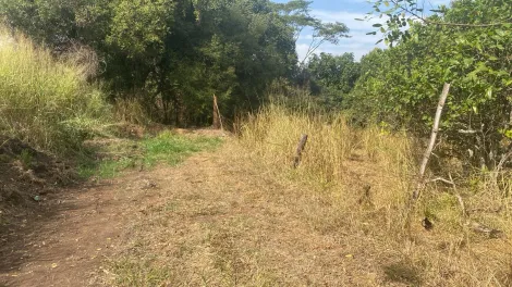 Comprar Rural / Sítio em São José do Rio Preto apenas R$ 4.200.000,00 - Foto 8