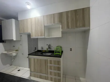 Alugar Apartamento / Padrão em São José do Rio Preto apenas R$ 800,00 - Foto 1