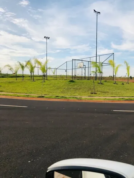 Comprar Terreno / Padrão em São José do Rio Preto R$ 120.000,00 - Foto 4