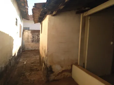 Comprar Casa / Padrão em São José do Rio Preto apenas R$ 800.000,00 - Foto 2