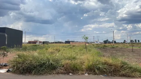 Terreno / Padrão em São José do Rio Preto 