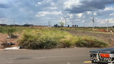 Comprar Terreno / Padrão em São José do Rio Preto apenas R$ 140.000,00 - Foto 3