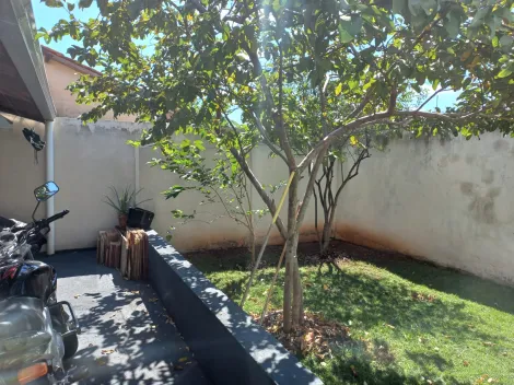 Comprar Casa / Padrão em São José do Rio Preto apenas R$ 230.000,00 - Foto 2