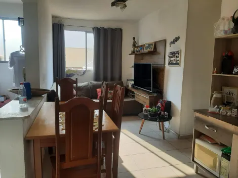 Comprar Apartamento / Padrão em São José do Rio Preto R$ 300.000,00 - Foto 9