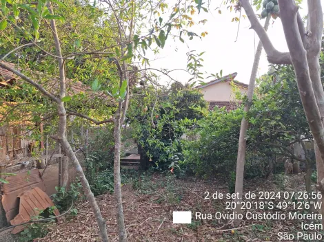 Comprar Casa / Padrão em Icém apenas R$ 425.000,00 - Foto 20