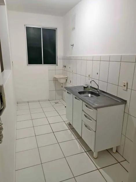 Apartamento / Padrão em São José do Rio Preto 