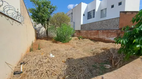 Comprar Casa / Padrão em São José do Rio Preto R$ 300.000,00 - Foto 5