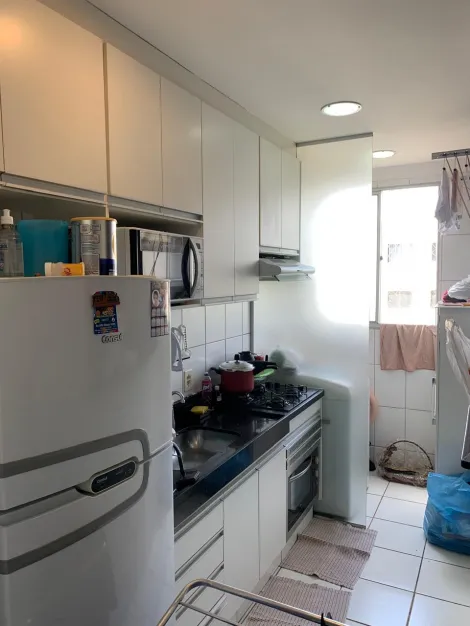 Alugar Apartamento / Padrão em São José do Rio Preto R$ 1.200,00 - Foto 6