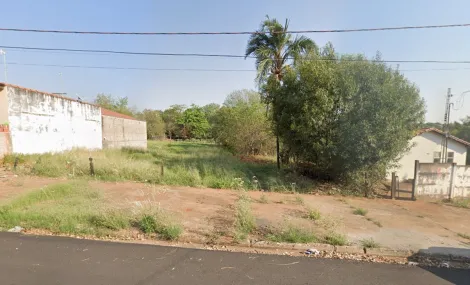 Terreno / Área em São José do Rio Preto 