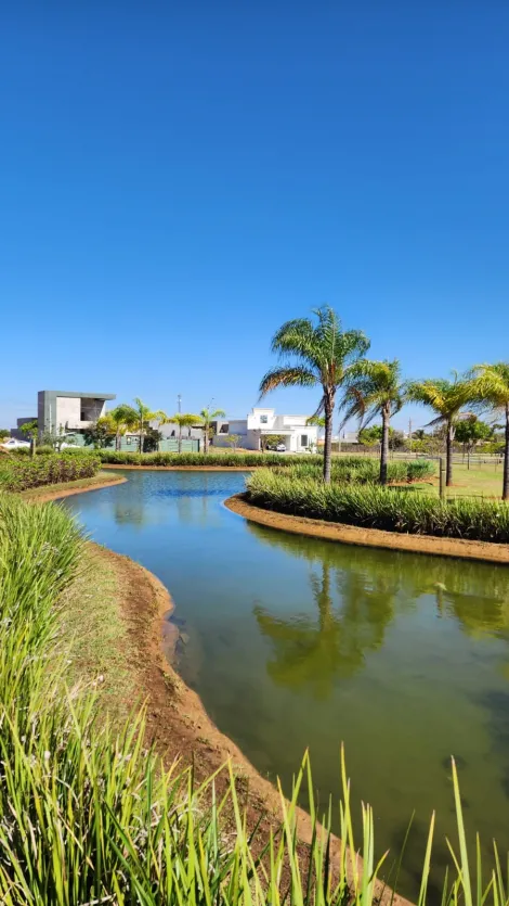 Comprar Terreno / Condomínio em Mirassol apenas R$ 210.000,00 - Foto 4