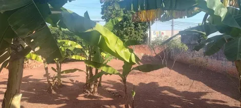 Alugar Terreno / Padrão em Bady Bassitt. apenas R$ 180.000,00