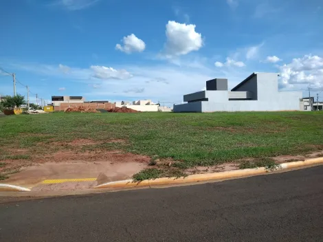 Comprar Terreno / Condomínio em São José do Rio Preto apenas R$ 555.000,00 - Foto 2