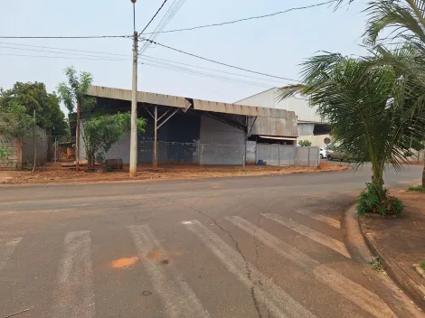 Comprar Comercial / Salão em Ipiguá R$ 1.200.000,00 - Foto 3