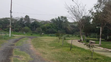 Comprar Rural / Rancho em José Bonifácio apenas R$ 700.000,00 - Foto 31