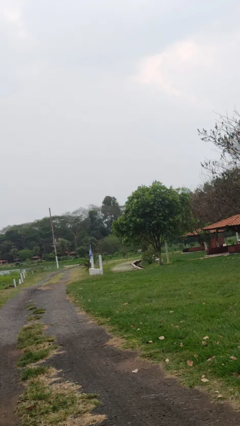 Comprar Rural / Rancho em José Bonifácio R$ 700.000,00 - Foto 33