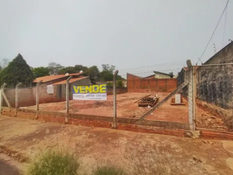 Terreno / Padrão em São José do Rio Preto 