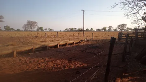 Comprar Rural / Sítio em São Francisco de Sales apenas R$ 5.000.000,00 - Foto 11