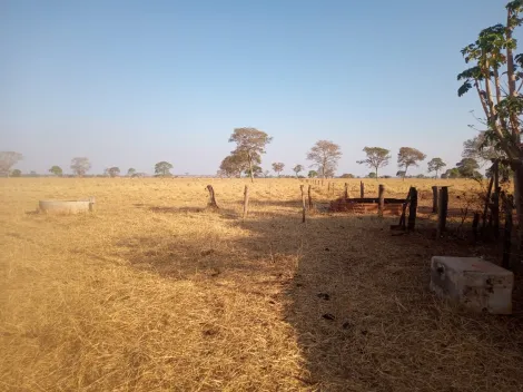 Comprar Rural / Sítio em São Francisco de Sales apenas R$ 5.000.000,00 - Foto 12