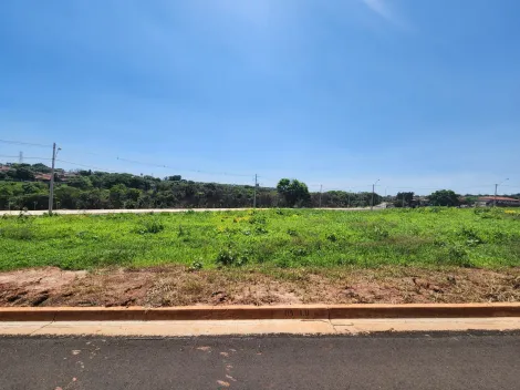 Alugar Terreno / Padrão em São José do Rio Preto. apenas R$ 90.000,00