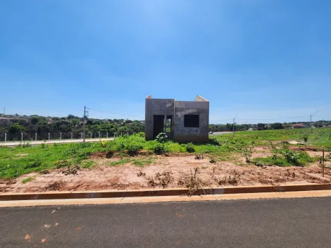 Alugar Terreno / Padrão em São José do Rio Preto. apenas R$ 91.000,00