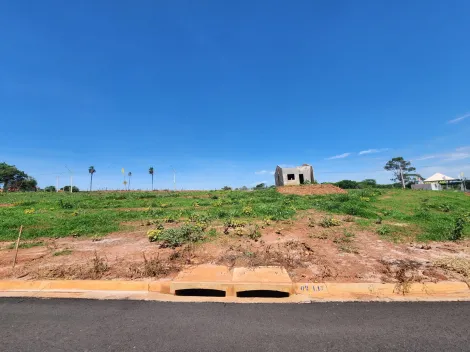 Comprar Terreno / Padrão em São José do Rio Preto R$ 102.700,00 - Foto 1