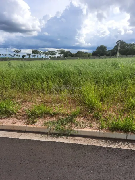 Terreno / Condomínio em São José do Rio Preto 